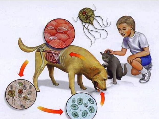 cara infecting anak jeung parasit